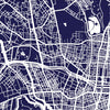 Tokyo Map: City Street Map of Tokyo Japan - Colour Series Art Print