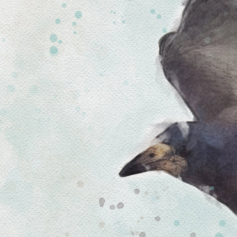 Rook: Watercolor Illustration Wildlife Art Print