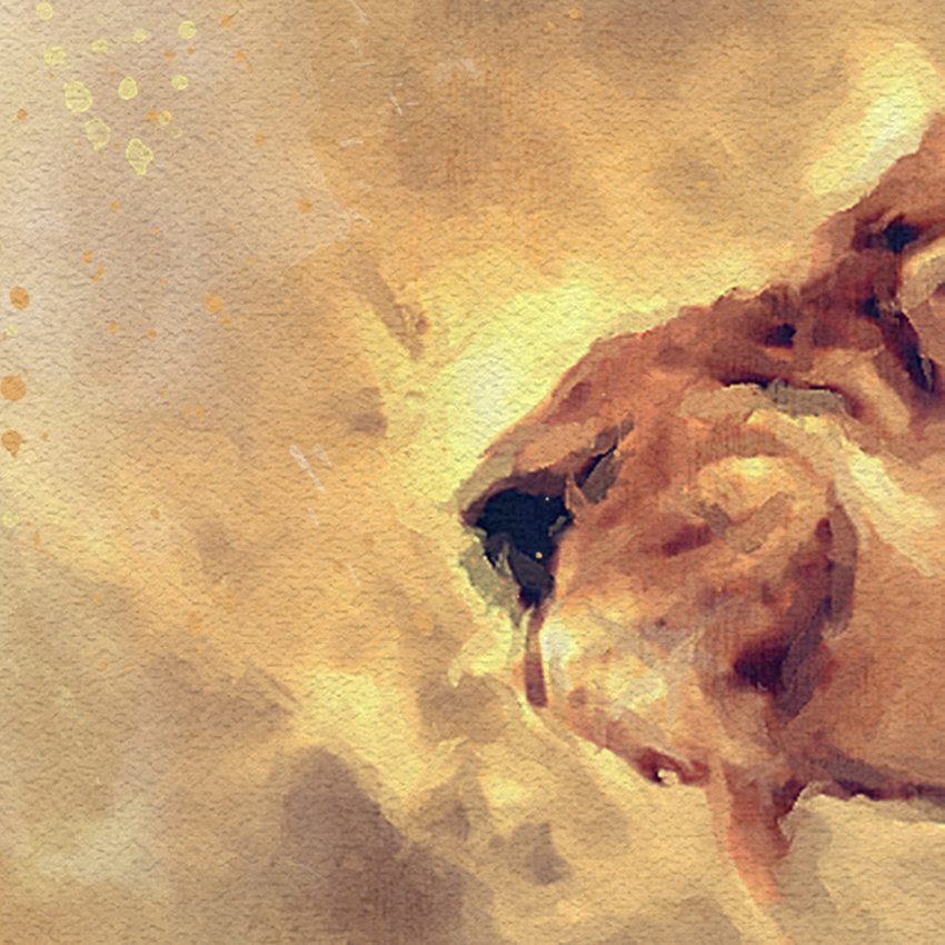 Lion: Watercolor Illustration Wildlife Art Print
