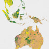 World Map: Watercolor Illustration Wall Art - Rain Forest Theme