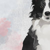 BORDER COLLIE Dog: Trait Print - Breed Personality  - Gift Pet Lovers Art Print