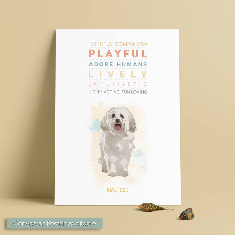 MALTESE Dog: Trait Print - Breed Personality  - Gift Pet Lovers Art Print