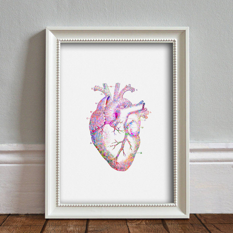Heart Anatomy: Watercolour Print For Nursery, Home Decor - Science Series